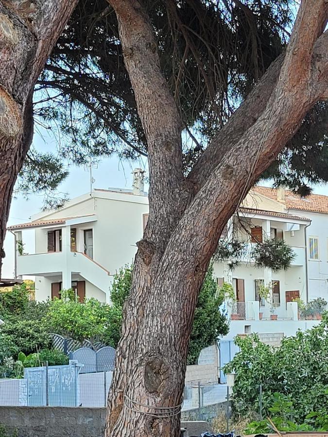 L'Asfodelo Bed & Breakfast La Maddalena  Exterior photo